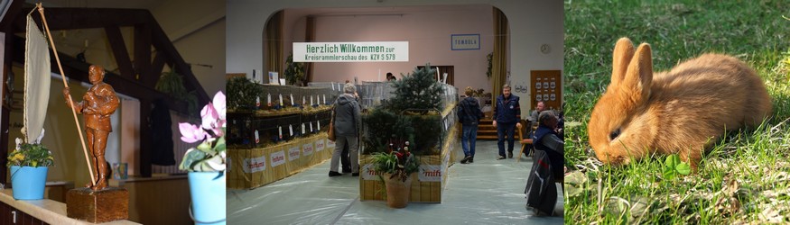 Kaninchenzuchtverein Erdmannsdorf - Teil 2  1945 - 1989